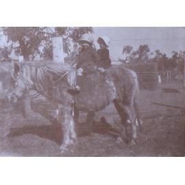 Unidentified children on a pony