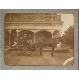 Unidentified man in a horse and buggy in front of Saumarez Homestead