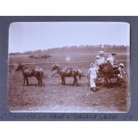 Mr. P. Fenwick's 4 in hand at Walcha races /09