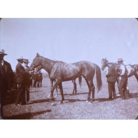 Unidentified men with a racehorse