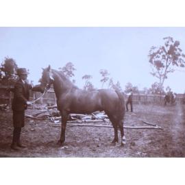 Unidentified young man holding a horse