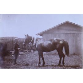 Unidentified young man holding a horse