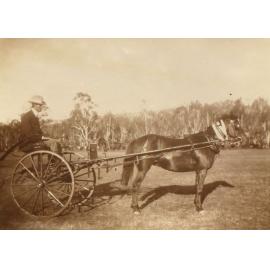 Unidentified man in a buggy