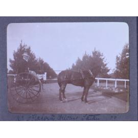 Mr. C. Flaharty driving Satan /09