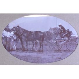 Unidentified man with horse and buggy