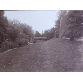 Lawn and gardens at Saumarez Homestead