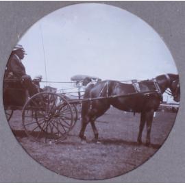 Unidentified men in a horse and buggy