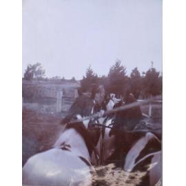 View from the drivers seat of a four in hand