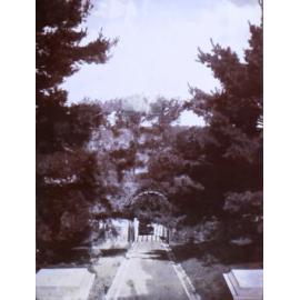 View of a garden path with large trees on either side