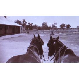 View of building and signpost from the front of a wagon
