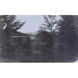 View of shrubs and trees