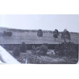 View from house over gardens and paddocks