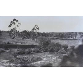 View from house over gardens and paddocks
