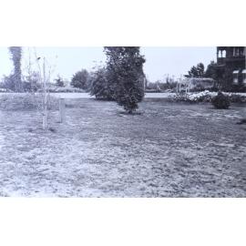 View of Saumarez Homestead and gardens