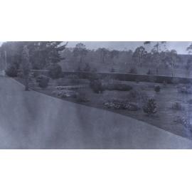 View of gardens beside the driveway