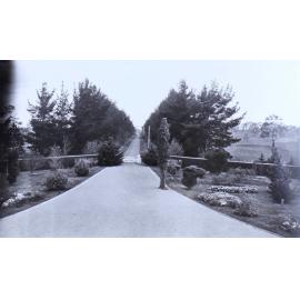 View of gardens beside the driveway