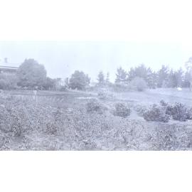 View of the gardens and the house