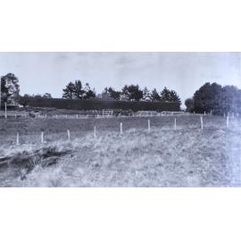 Gardens outside the hedge