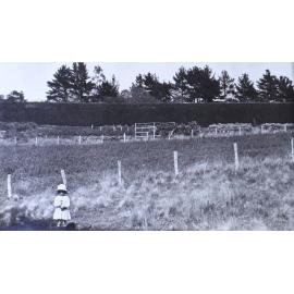 Gardens outside the hedge, small girl in the foreground