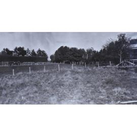 Gardens outside the hedge