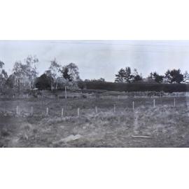Gardens and paddocks outside the hedge