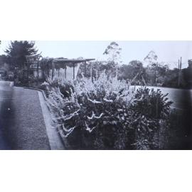 Gardens near the house beside driveway