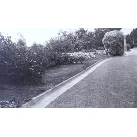 Gardens near the house beside driveway