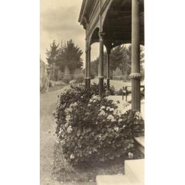 Gardens near the house with the house on the right