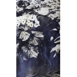 Plants in the greenhouse with a small boy in the foliage
