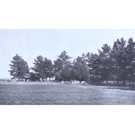 Paddock on Saumarez Station