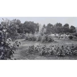 Gardens around the tennis court at Saumarez