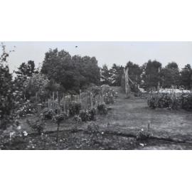 Gardens around the tennis court at Saumarez