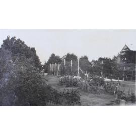 Gardens around the tennis court at Saumarez