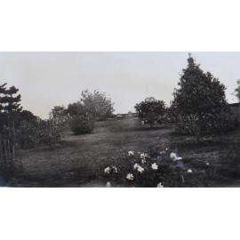 Gardens and lawns at Saumarez