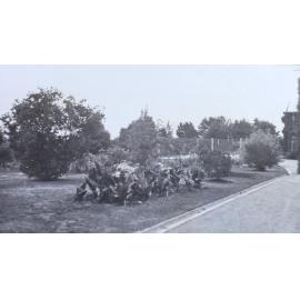 Gardens, tennis court and house at Saumarez