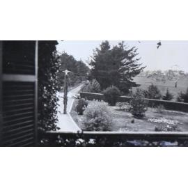 View from house of driveway and gardens