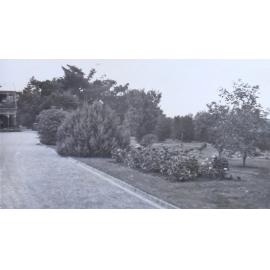 Gardens beside the driveway with the house in the background