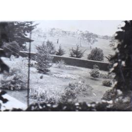 View from the house of the gardens beside the driveway