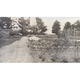 View of gardens with the tennis court on the right