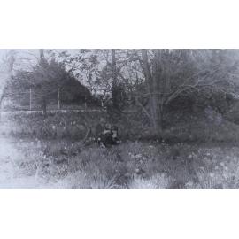 Unidentified girl sitting in the gardens with pet dogs