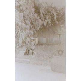 Unidentified girl with a pet dog on the steps near the thennis court