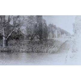 Gardens around the tennis court at Saumarez