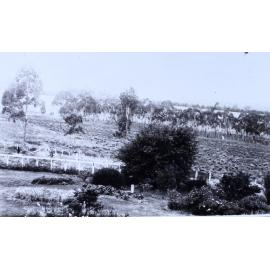 View of some of the garden and paddocks
