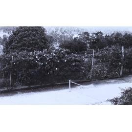 View of gardens beside the tennis court