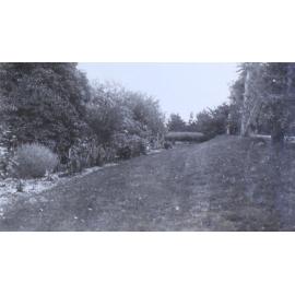 View of lawn and garden