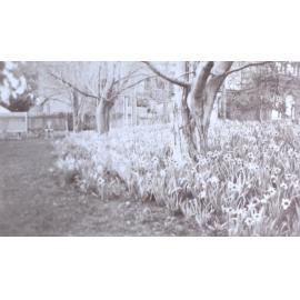 View of the gardens around the tennis court at Saumarez
