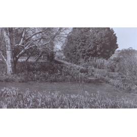 View of the gardens around the tennis court at Saumarez