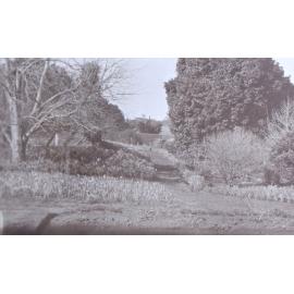 View of the gardens around the tennis court at Saumarez