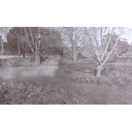 View of the gardens around the tennis court at Saumarez