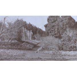 View of the gardens around the tennis court at Saumarez